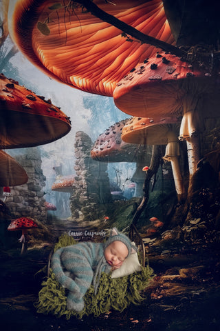 Mushroom Wonderland Path Fabric Backdrop Wee Sweep-Fabric Photography Wee Sweep-Snobby Drops Fabric Backdrops for Photography, Exclusive Designs by Tara Mapes Photography, Enchanted Eye Creations by Tara Mapes, photography backgrounds, photography backdrops, fast shipping, US backdrops, cheap photography backdrops