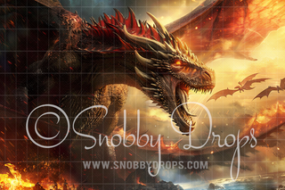 Big Dragon Fabric Backdrop-Fabric Photography Backdrop-Snobby Drops Fabric Backdrops for Photography, Exclusive Designs by Tara Mapes Photography, Enchanted Eye Creations by Tara Mapes, photography backgrounds, photography backdrops, fast shipping, US backdrops, cheap photography backdrops