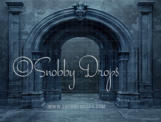 Black Ornate Baroque Wall Fabric Backdrop-Fabric Photography Backdrop-Snobby Drops Fabric Backdrops for Photography, Exclusive Designs by Tara Mapes Photography, Enchanted Eye Creations by Tara Mapes, photography backgrounds, photography backdrops, fast shipping, US backdrops, cheap photography backdrops