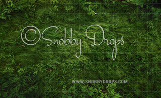 Candy Mushrooms Grass Fabric or Rubber Backed Floor-Floor-Snobby Drops Fabric Backdrops for Photography, Exclusive Designs by Tara Mapes Photography, Enchanted Eye Creations by Tara Mapes, photography backgrounds, photography backdrops, fast shipping, US backdrops, cheap photography backdrops