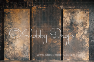Canvas Panel Print Fabric Backdrop-Fabric Photography Backdrop-Snobby Drops Fabric Backdrops for Photography, Exclusive Designs by Tara Mapes Photography, Enchanted Eye Creations by Tara Mapes, photography backgrounds, photography backdrops, fast shipping, US backdrops, cheap photography backdrops