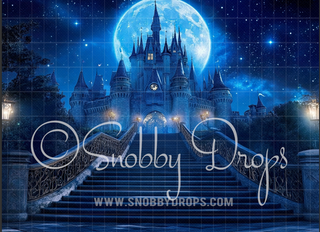 Castle Staircase Fabric Backdrop-Fabric Photography Backdrop-Snobby Drops Fabric Backdrops for Photography, Exclusive Designs by Tara Mapes Photography, Enchanted Eye Creations by Tara Mapes, photography backgrounds, photography backdrops, fast shipping, US backdrops, cheap photography backdrops