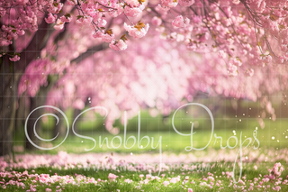 Cherry Blossom Tree Path Fabric Backdrop-Fabric Photography Backdrop-Snobby Drops Fabric Backdrops for Photography, Exclusive Designs by Tara Mapes Photography, Enchanted Eye Creations by Tara Mapes, photography backgrounds, photography backdrops, fast shipping, US backdrops, cheap photography backdrops