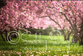 Cherry Blossom Trees Fabric Backdrop-Fabric Photography Backdrop-Snobby Drops Fabric Backdrops for Photography, Exclusive Designs by Tara Mapes Photography, Enchanted Eye Creations by Tara Mapes, photography backgrounds, photography backdrops, fast shipping, US backdrops, cheap photography backdrops