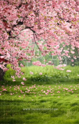 Cherry Blossom Trees Fabric Backdrop Sweep-Fabric Photography Sweep-Snobby Drops Fabric Backdrops for Photography, Exclusive Designs by Tara Mapes Photography, Enchanted Eye Creations by Tara Mapes, photography backgrounds, photography backdrops, fast shipping, US backdrops, cheap photography backdrops