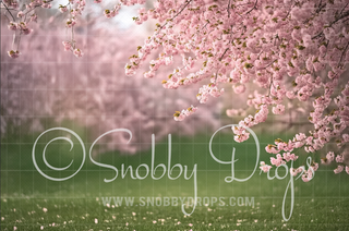 Cherry Tree Fabric Backdrop-Fabric Photography Backdrop-Snobby Drops Fabric Backdrops for Photography, Exclusive Designs by Tara Mapes Photography, Enchanted Eye Creations by Tara Mapes, photography backgrounds, photography backdrops, fast shipping, US backdrops, cheap photography backdrops