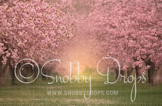Cherry Tree Orchard with Sun Fabric Backdrop-Fabric Photography Backdrop-Snobby Drops Fabric Backdrops for Photography, Exclusive Designs by Tara Mapes Photography, Enchanted Eye Creations by Tara Mapes, photography backgrounds, photography backdrops, fast shipping, US backdrops, cheap photography backdrops