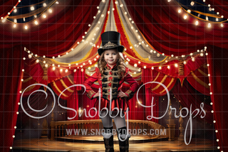 Circus Tent Fabric Backdrop-Fabric Photography Backdrop-Snobby Drops Fabric Backdrops for Photography, Exclusive Designs by Tara Mapes Photography, Enchanted Eye Creations by Tara Mapes, photography backgrounds, photography backdrops, fast shipping, US backdrops, cheap photography backdrops