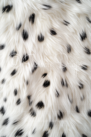 Cruel Ella's Dalmatian Fur Fabric Backdrop Sweep-Fabric Photography Sweep-Snobby Drops Fabric Backdrops for Photography, Exclusive Designs by Tara Mapes Photography, Enchanted Eye Creations by Tara Mapes, photography backgrounds, photography backdrops, fast shipping, US backdrops, cheap photography backdrops