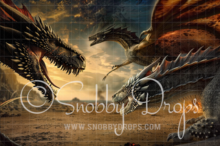 Dragon Convention Fabric Backdrop-Fabric Photography Backdrop-Snobby Drops Fabric Backdrops for Photography, Exclusive Designs by Tara Mapes Photography, Enchanted Eye Creations by Tara Mapes, photography backgrounds, photography backdrops, fast shipping, US backdrops, cheap photography backdrops