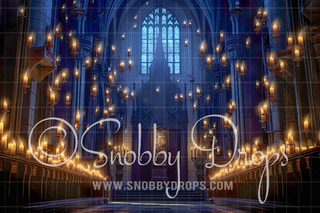 Floating Candles Hall Wizard Fabric Backdrop-Fabric Photography Backdrop-Snobby Drops Fabric Backdrops for Photography, Exclusive Designs by Tara Mapes Photography, Enchanted Eye Creations by Tara Mapes, photography backgrounds, photography backdrops, fast shipping, US backdrops, cheap photography backdrops