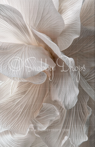 Ivory Floral Dance Fine Art Floral Fabric Backdrop Sweep-Fabric Photography Sweep-Snobby Drops Fabric Backdrops for Photography, Exclusive Designs by Tara Mapes Photography, Enchanted Eye Creations by Tara Mapes, photography backgrounds, photography backdrops, fast shipping, US backdrops, cheap photography backdrops