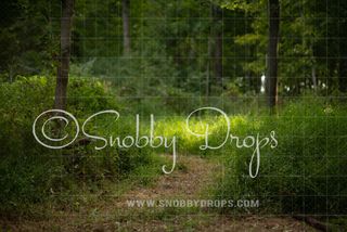 Magical Fairy Forest Path Fabric Backdrop-Fabric Photography Backdrop-Snobby Drops Fabric Backdrops for Photography, Exclusive Designs by Tara Mapes Photography, Enchanted Eye Creations by Tara Mapes, photography backgrounds, photography backdrops, fast shipping, US backdrops, cheap photography backdrops