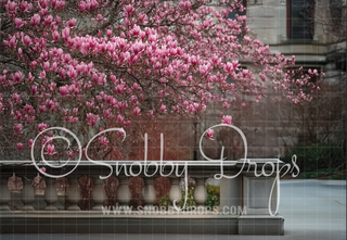 Magnolia Tree in City Fabric Backdrop-Fabric Photography Backdrop-Snobby Drops Fabric Backdrops for Photography, Exclusive Designs by Tara Mapes Photography, Enchanted Eye Creations by Tara Mapes, photography backgrounds, photography backdrops, fast shipping, US backdrops, cheap photography backdrops