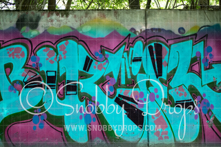 Painted Graffiti Wall Teal Fabric Backdrop-Fabric Photography Backdrop-Snobby Drops Fabric Backdrops for Photography, Exclusive Designs by Tara Mapes Photography, Enchanted Eye Creations by Tara Mapes, photography backgrounds, photography backdrops, fast shipping, US backdrops, cheap photography backdrops