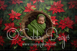Poinsettia Newborn Fabric Backdrop-Fabric Photography Backdrop-Snobby Drops Fabric Backdrops for Photography, Exclusive Designs by Tara Mapes Photography, Enchanted Eye Creations by Tara Mapes, photography backgrounds, photography backdrops, fast shipping, US backdrops, cheap photography backdrops