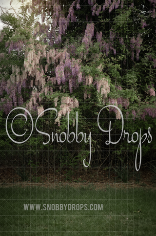 Real Wisteria Bush Fabric Backdrop Sweep-Fabric Photography Sweep-Snobby Drops Fabric Backdrops for Photography, Exclusive Designs by Tara Mapes Photography, Enchanted Eye Creations by Tara Mapes, photography backgrounds, photography backdrops, fast shipping, US backdrops, cheap photography backdrops