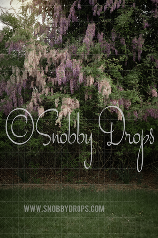 Real Wisteria Bush Fabric Backdrop Sweep-Fabric Photography Backdrop-Snobby Drops Fabric Backdrops for Photography, Exclusive Designs by Tara Mapes Photography, Enchanted Eye Creations by Tara Mapes, photography backgrounds, photography backdrops, fast shipping, US backdrops, cheap photography backdrops