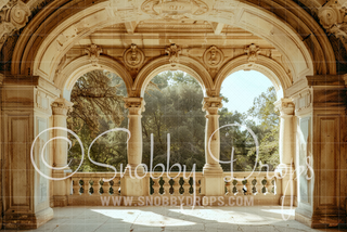 Renaissance Balcony with Pillars Fabric Backdrop-Fabric Photography Backdrop-Snobby Drops Fabric Backdrops for Photography, Exclusive Designs by Tara Mapes Photography, Enchanted Eye Creations by Tara Mapes, photography backgrounds, photography backdrops, fast shipping, US backdrops, cheap photography backdrops