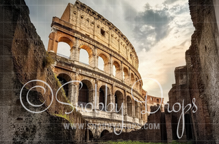 Rome Colosseum Fabric Backdrop-Fabric Photography Backdrop-Snobby Drops Fabric Backdrops for Photography, Exclusive Designs by Tara Mapes Photography, Enchanted Eye Creations by Tara Mapes, photography backgrounds, photography backdrops, fast shipping, US backdrops, cheap photography backdrops