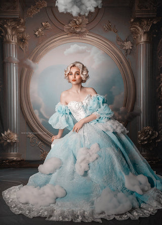 Sky Renaissance Room Fabric Backdrop Sweep-Fabric Photography Sweep-Snobby Drops Fabric Backdrops for Photography, Exclusive Designs by Tara Mapes Photography, Enchanted Eye Creations by Tara Mapes, photography backgrounds, photography backdrops, fast shipping, US backdrops, cheap photography backdrops