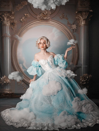 Sky Renaissance Room Fabric Backdrop Sweep-Fabric Photography Sweep-Snobby Drops Fabric Backdrops for Photography, Exclusive Designs by Tara Mapes Photography, Enchanted Eye Creations by Tara Mapes, photography backgrounds, photography backdrops, fast shipping, US backdrops, cheap photography backdrops