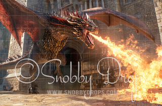 Screaming Dragon Fabric Backdrop-Fabric Photography Backdrop-Snobby Drops Fabric Backdrops for Photography, Exclusive Designs by Tara Mapes Photography, Enchanted Eye Creations by Tara Mapes, photography backgrounds, photography backdrops, fast shipping, US backdrops, cheap photography backdrops