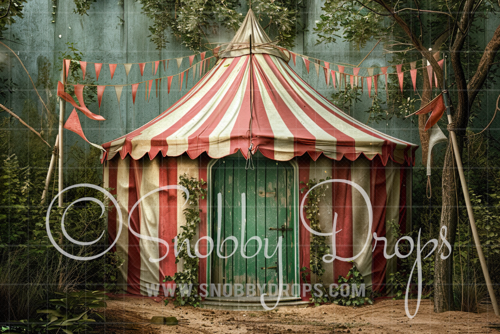 Shabby Chic Circus Tent Fabric Backdrop