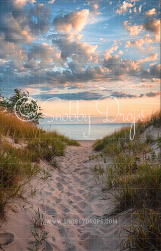 Southern Beach Fabric Photography Backdrop Sweep-Fabric Photography Sweep-Snobby Drops Fabric Backdrops for Photography, Exclusive Designs by Tara Mapes Photography, Enchanted Eye Creations by Tara Mapes, photography backgrounds, photography backdrops, fast shipping, US backdrops, cheap photography backdrops