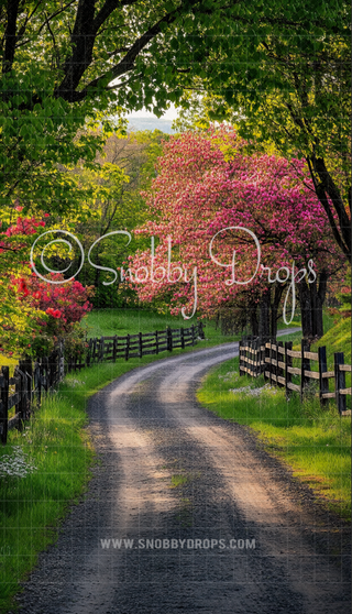 Spring Road Fabric Backdrop Sweep-Fabric Photography Sweep-Snobby Drops Fabric Backdrops for Photography, Exclusive Designs by Tara Mapes Photography, Enchanted Eye Creations by Tara Mapes, photography backgrounds, photography backdrops, fast shipping, US backdrops, cheap photography backdrops