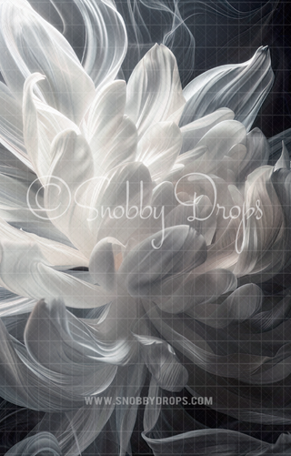 White Floral Dance Fine Art Floral Fabric Backdrop Sweep-Fabric Photography Sweep-Snobby Drops Fabric Backdrops for Photography, Exclusive Designs by Tara Mapes Photography, Enchanted Eye Creations by Tara Mapes, photography backgrounds, photography backdrops, fast shipping, US backdrops, cheap photography backdrops