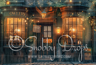 Wizard Owlery 3 Piece Room Set-Photography Backdrop 3P Room Set-Snobby Drops Fabric Backdrops for Photography, Exclusive Designs by Tara Mapes Photography, Enchanted Eye Creations by Tara Mapes, photography backgrounds, photography backdrops, fast shipping, US backdrops, cheap photography backdrops