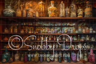 Wizard Potions Fabric Backdrop-Fabric Photography Backdrop-Snobby Drops Fabric Backdrops for Photography, Exclusive Designs by Tara Mapes Photography, Enchanted Eye Creations by Tara Mapes, photography backgrounds, photography backdrops, fast shipping, US backdrops, cheap photography backdrops