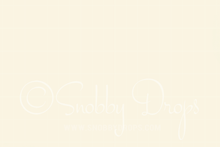 Soft Cream Solid Color Fabric Backdrop