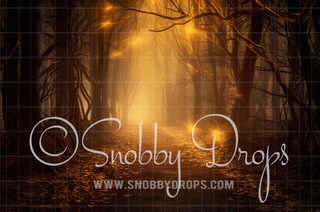 Glowing Fall Path Fabric Backdrop