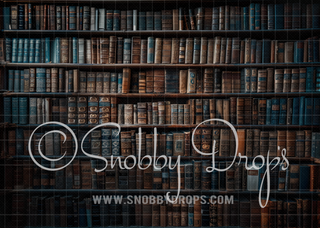 Rustic Library Book Shelves Fabric Backdrop