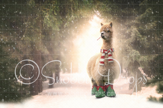 Christmas Alpaca Llama Fabric Backdrop-Fabric Photography Backdrop-Snobby Drops Fabric Backdrops for Photography, Exclusive Designs by Tara Mapes Photography, Enchanted Eye Creations by Tara Mapes, photography backgrounds, photography backdrops, fast shipping, US backdrops, cheap photography backdrops