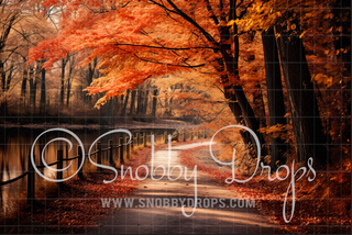 Warm Fall Path Fabric Backdrop-Fabric Photography Backdrop-Snobby Drops Fabric Backdrops for Photography, Exclusive Designs by Tara Mapes Photography, Enchanted Eye Creations by Tara Mapes, photography backgrounds, photography backdrops, fast shipping, US backdrops, cheap photography backdrops