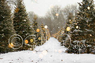 Christmas Tree Farm with Bokeh Fabric Backdrop