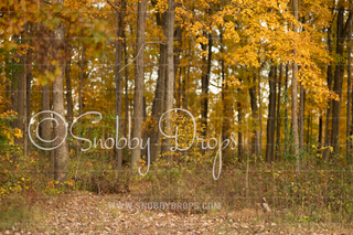 Autumn Forest Fabric Backdrop