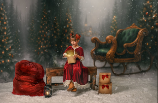 Santa's Sleigh 3 Piece Room Set