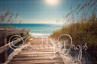 Beach Boardwalk Fabric Backdrop