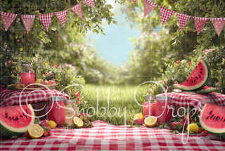 Watermelon Picnic Cake Smash Tot Drop