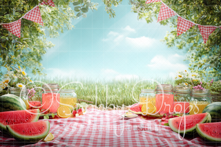 Watermelon Picnic Summer Cake Smash Tot Drop