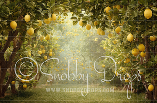 Lemon Tree Summer Fabric Backdrop