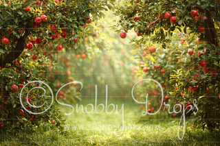 Apple Orchard Summer Fabric Backdrop