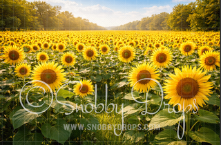 Sunflower Field Fabric Backdrop