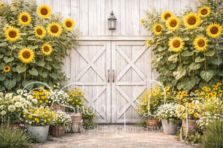 Sunflower Barn Summer Fabric Backdrop