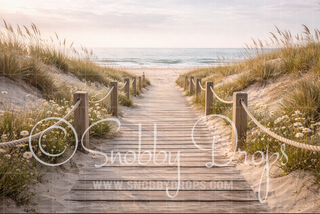 Beach Boardwalk Fabric Backdrop