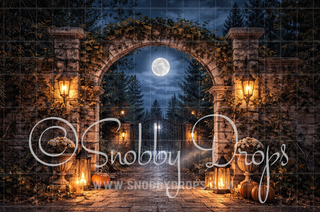 Moonlit Courtyard Fabric Backdrop